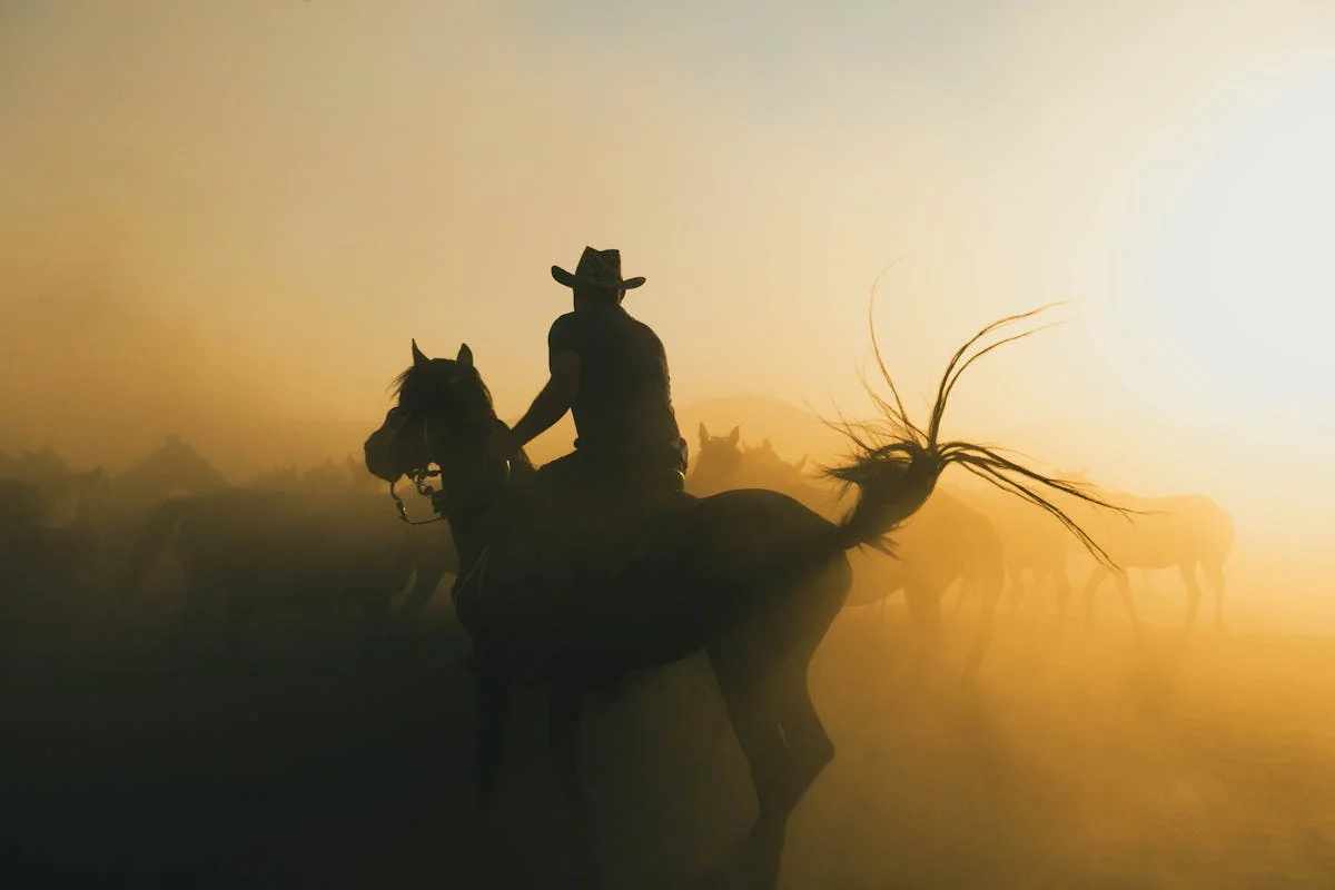 Wild West panorama